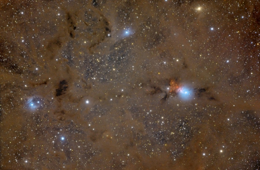 Vor einem gestirnten Hintergrund sind braune, teils dunkle Staubwolken verteilt. Darin sind in der Nähe von Sternen einige blau leuchtende Reflexionsnebel verteilt.