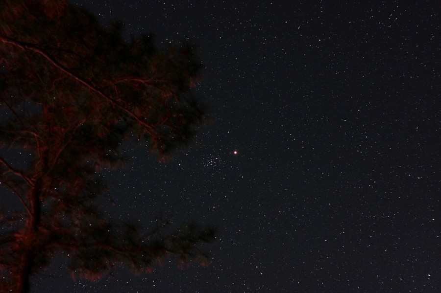 Mitten im Bild ist der zarte Sternhaufen M44 erkennbar, das helle Licht darin inst der Planet Mars.
