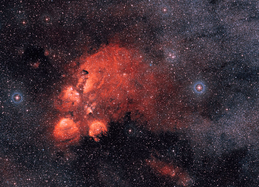 Mitten in einem dicht gestreuten Sternenfeld leuchtet eine rote Wolke, die an eine Katzenpfote erinnert.