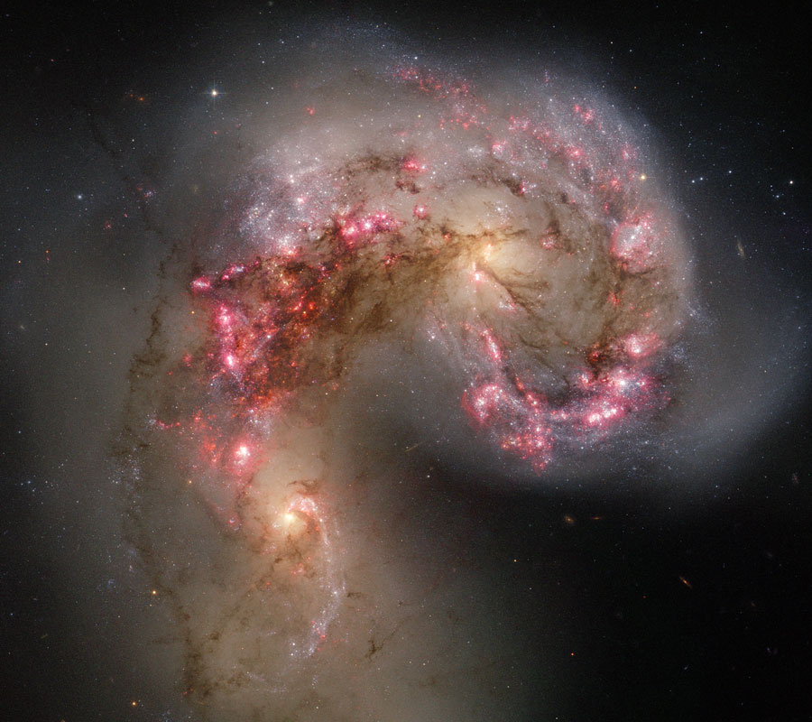 Das hoch aufgelöste Zentrum einer Galaxie ist von vielen dunklen Wolken überzogen, dazwischen leuchten hellrote Sternbildungsgebiete.