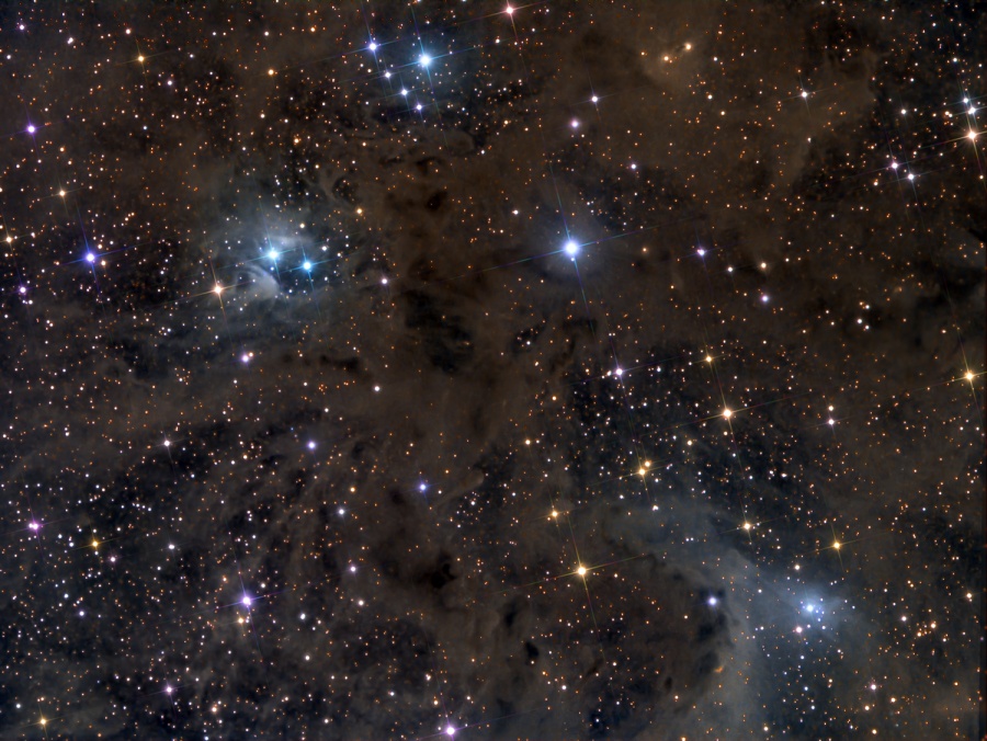 Dunkle Staubranken verdecken teilweise die dicht gestreuten Sterne. Um einige heller leuchtende Sterne verlaufen blau leuchtende Nebelhöfe.
