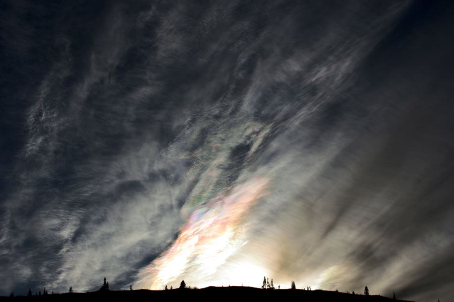 Hinter einem Horizont mit einer Silhouette weniger Bäume ragt ein wolkiger dunkler Himmel auf. Am Horizont leuchtet ein Licht nach oben, das die Wolken zum Schillern bringt.