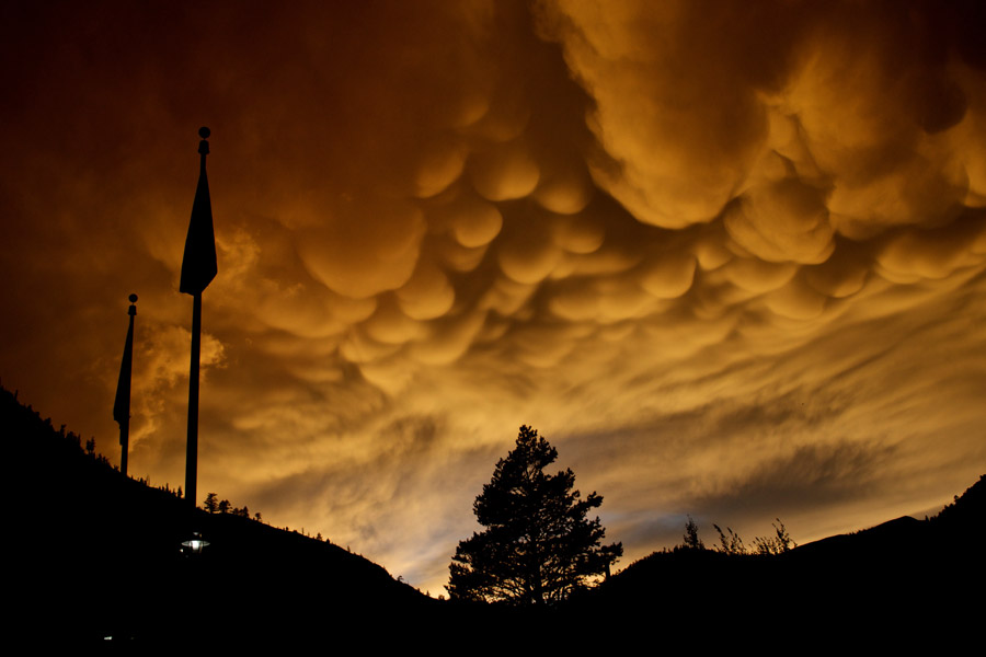 Vom Himmel hängen traubenförmige Wolken, die von unten von der untergehenden Sonne beleuchtet werden. In der Mitte am Horizont steht die Silhouette eines Nadelbaums.