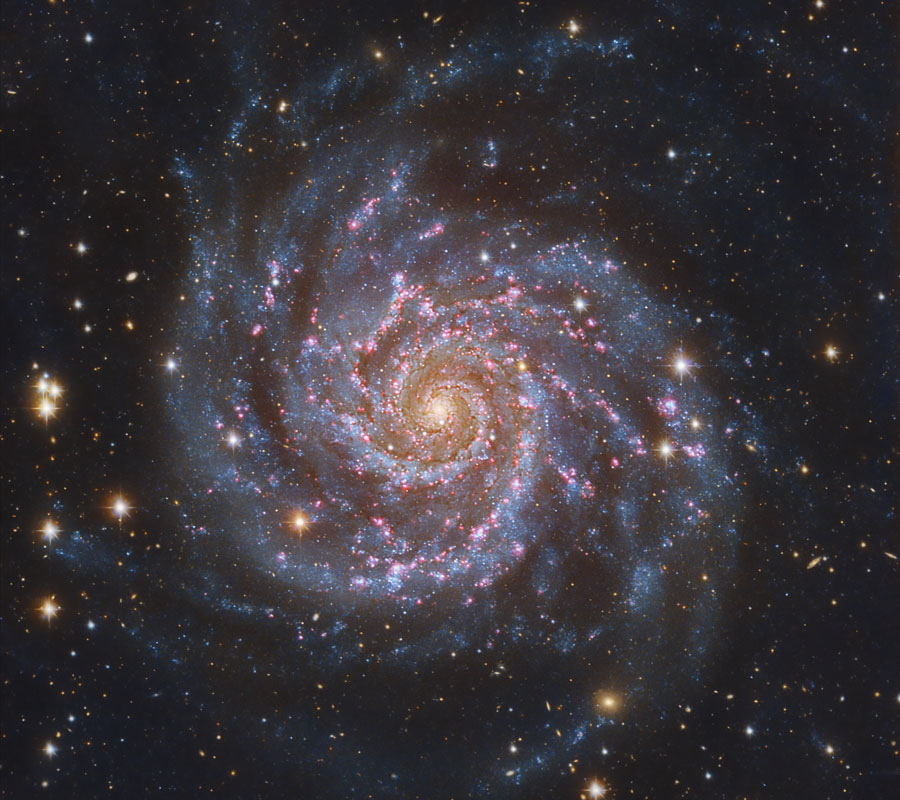 Die Spiralgalaxie im Bild ist von oben zu sehen, sie besitzt viele rosarote Sternbildungsregionen und eng gewundene blaue Spiralarme.