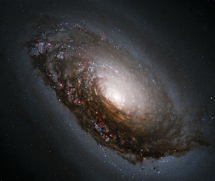 Die Galaxie im Bild hat ein sehr helles Zentrum, das von einem sehr dicken, ungewöhnlich dunklen Staubwulst umgeben ist.