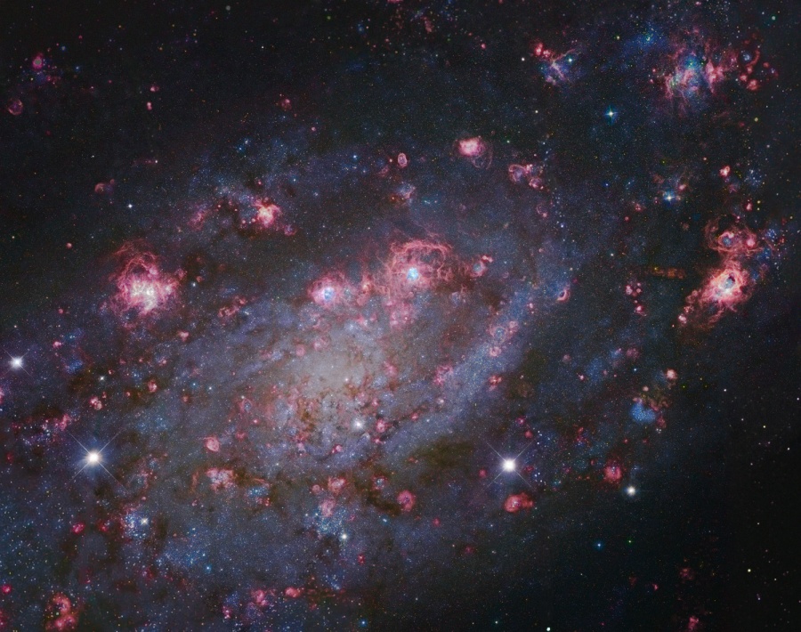 Über dieser zerfledderten Spiralgalaxie sind zahllose rosarote Sternbildungsgebiete verteilt.