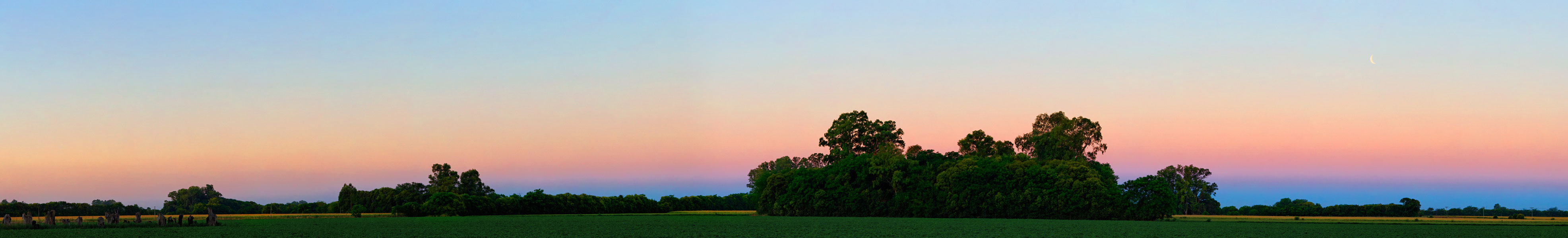 Hinter der Silhouette einer Landschaft mit Bäumen steigt der graue Erdschatten auf. Darüber verläuft ein pinkfarbenes Band, darüber ist der Himmel erst gelb, dann hellblau.