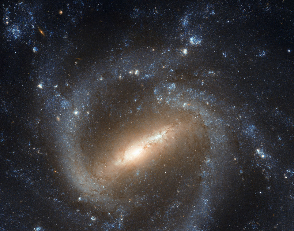 Hubble zeigt die Balkenspiralgalaxie NGC 1073 im Sternbild Cetus. 