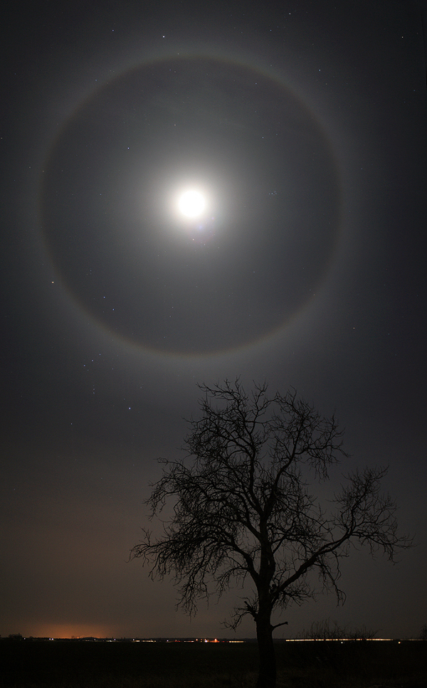 Über einem kahlen Baum steht der Vollmond am dunklen Himmel, er ist von einem hellen HOf umgeben. Unten am Horizont sind Stadtlichter zu sehen.