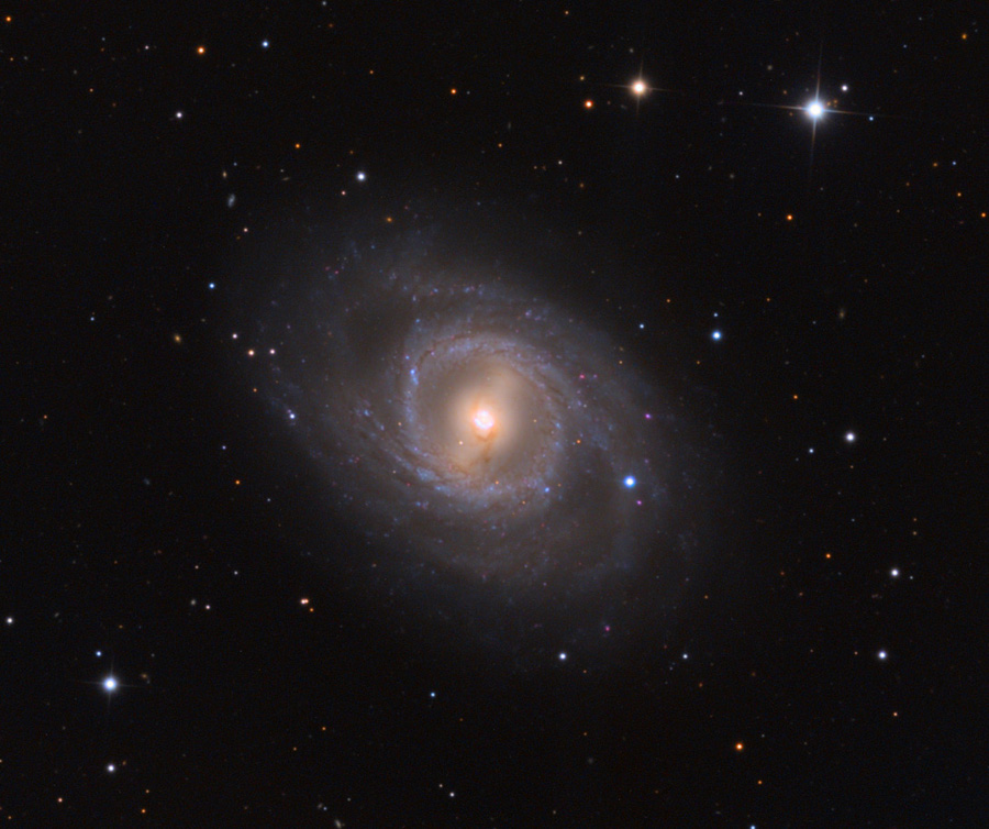 Eine Spiralgalaxie mit zarten Spiralarmen und einem Balken ist von oben zu sehen, rundherum sind wenige Sterne verteilt.