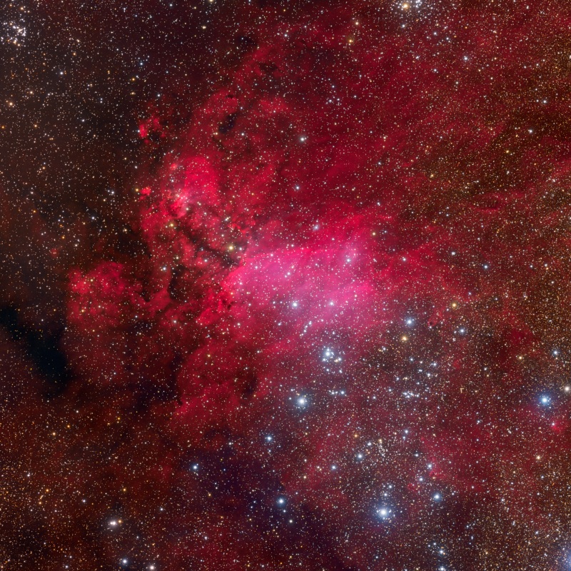 Der Emissionsnebel im Bild leuchtet rot, weil er durch unsichtbares Ultraviolettlicht angeregt wird. Seine Form erinnert manche an eine Garnele.