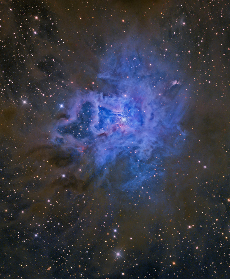 Der blaue Nebel in der Bildmitte erinnert an eine Blume, er wird auch Irisnebel genannt. Der Reflexionsnebel befindet sich im Sternbild Kepheus.