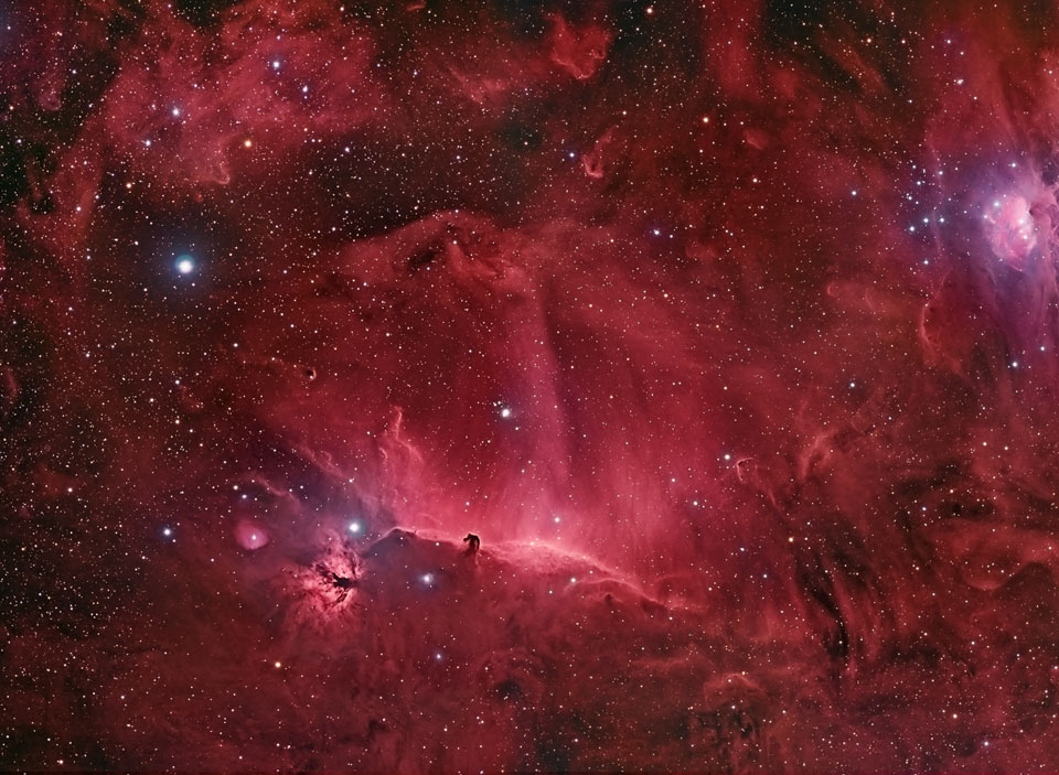 Der Pferdekopfnebel liegt inmitten einer sehr staubigen Region, die hier mit H-alpha-Filter rot abgebildet wurde.