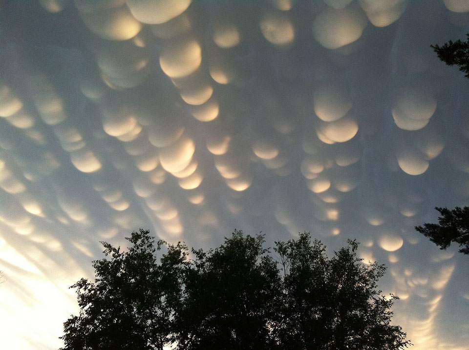 Der Himmel ist von kugelförmigen Wolkentaschen bedeckt, die seitlich von der Sonne beleuchtet werden. Unten ist eine Baumkrone zu sehen.