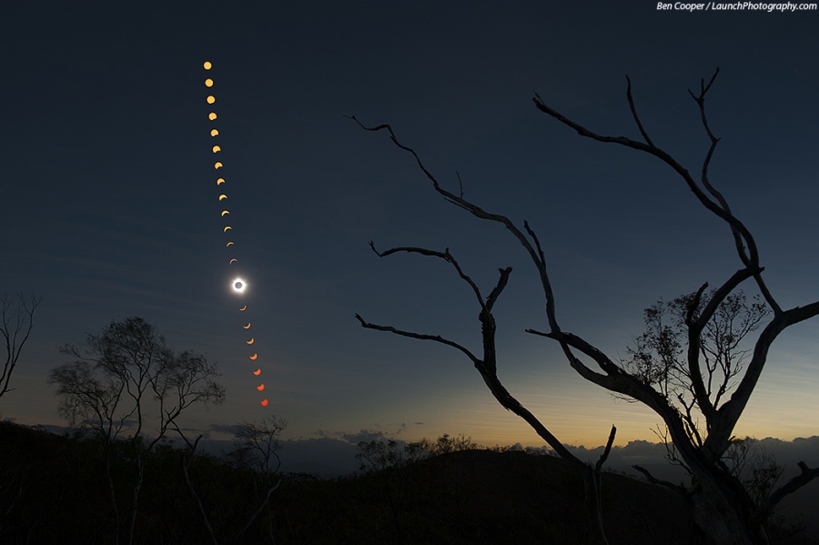 Links neben einem Baumgerippe entwickelt sich eine totale Sonnenfinsternis. Hinter dem Baum ist der Himmel hell von der Sonne beleuchtet, oben ist er dunkel, weil vom Mond beschattet.