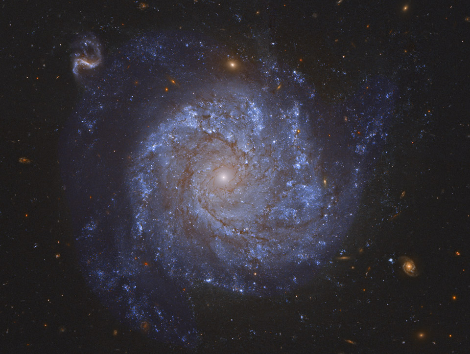 Eine Galaxie mit fleckig wirkenden Spiralarmen, die wenig ausgeprägt und wher zerfleddert wirken, ist direkt von oben zu sehen. In der Mitte ein kleiner heller Kern, die Galaxie leuchtet eher blau.