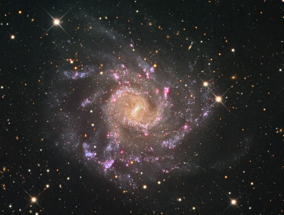 Hier ist eine ausgefranste Spiralgalaxie mit vielen Sternbildungsgebieten und einem gelblichen Kern abgebildet.
