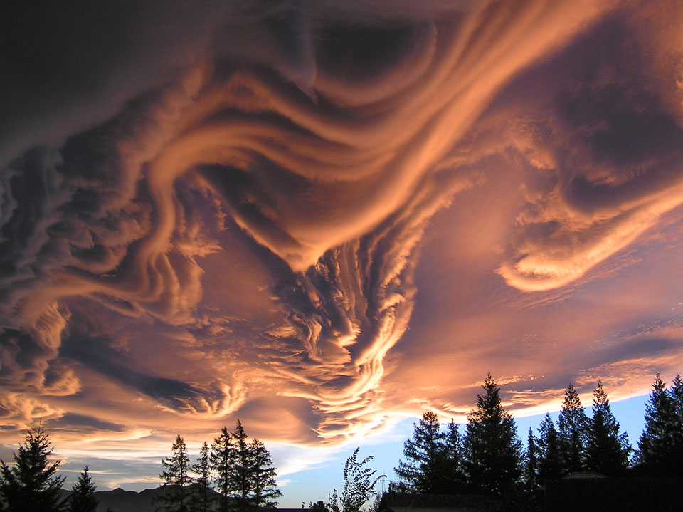 Wie ein wogender Ozean überziehen gewellte Wolken den Himmel über einem Wald, sie werden seitlich von der untergehenden Abendsonne beleuchtet.