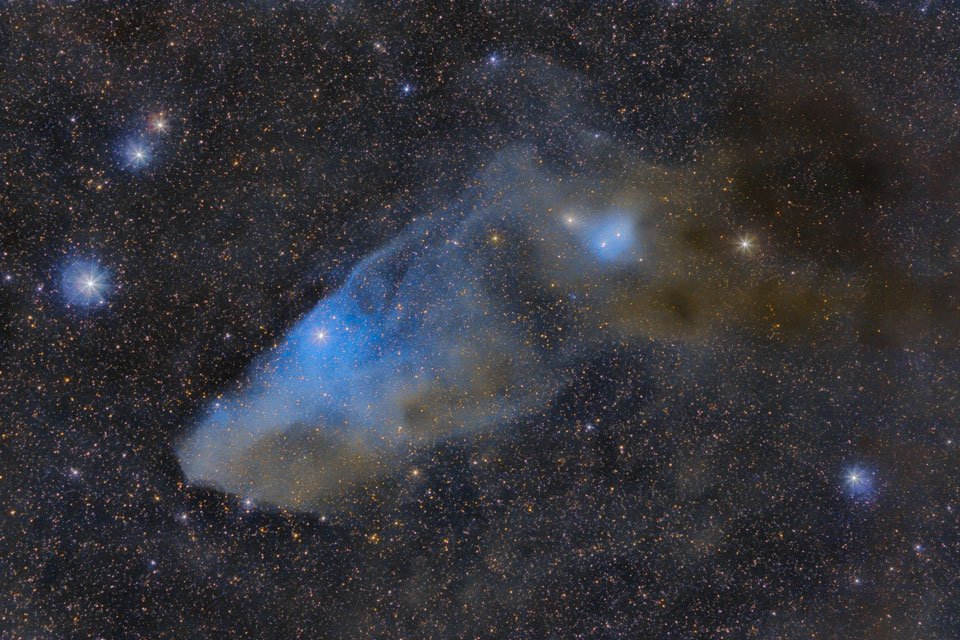 Vor einem Hintergrund, der dicht von Sternen gesprenkelt ist, zeichnet sich eine Nebelwolke ab, die wie ein blau-brauner Pferdekopf aussieht. Wenige helle Sterne sind von einem blauen Nebel umgeben.