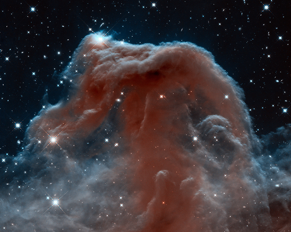 Der sonst dunkle Pferdekopfnebel leuchtet hier rosarot vor einem dunklen Hintergrund, weil er in Infrarotlicht abgebildet wurde. Dunkle Staubwolken leuchten in Infrarotlicht.