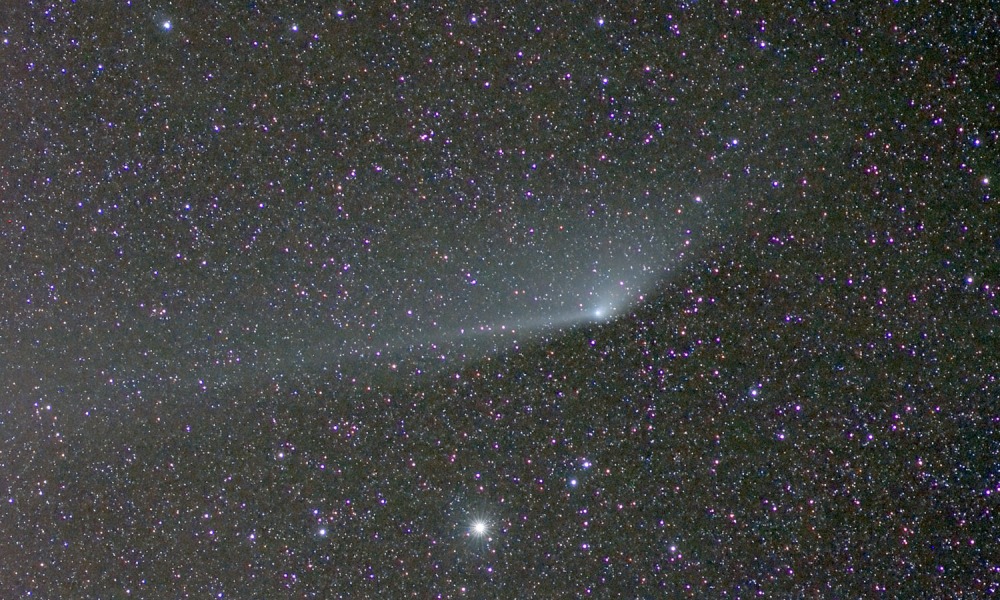 Vor einem Hintergrund im Sternbild Kepheus, der dicht mit Sternen bedeckt ist, fächert sich der breite Staubschweif des Kometen PanSTARRS (C/2011 L4) auf.