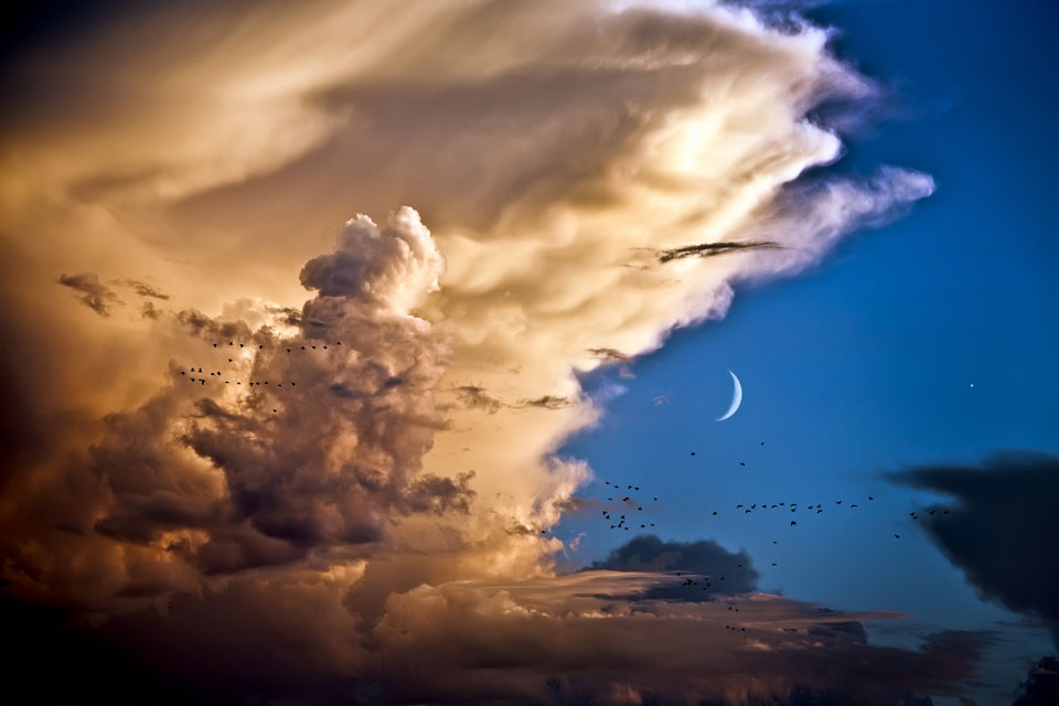 Vor einem blauen Abendhimmel türmt sich eine Ambosswolke auf. Sie ist von der Sonne beleuchtet. Nach rechts zeigt die sonnenbeleuchtete Sichel des Mondes. Vor den Wolken zieht ein Vogelschwarm. Rechts im Bild leuchtet der Planet Venus.
