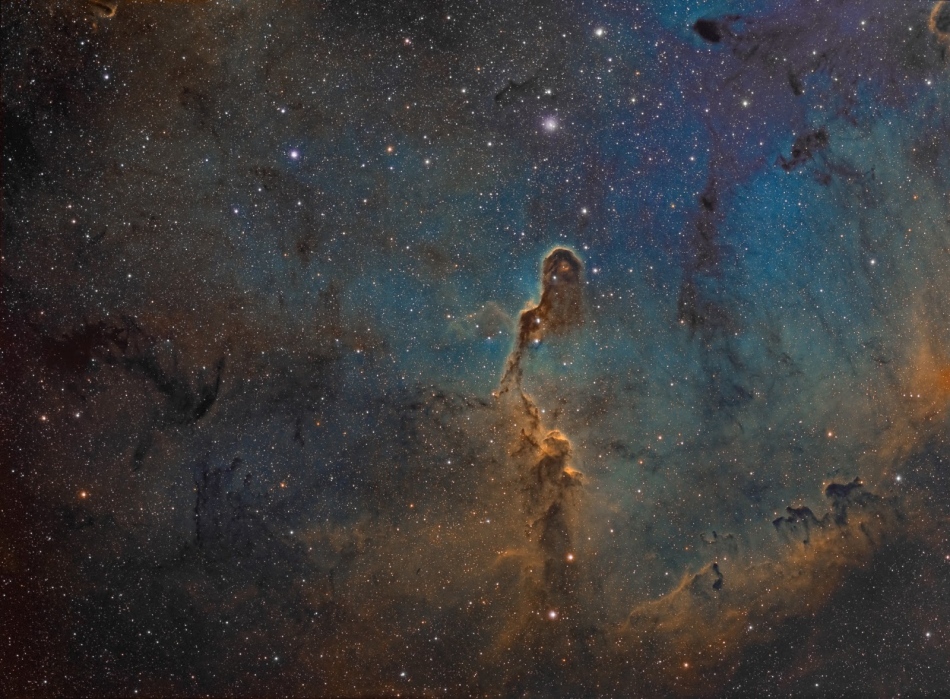 Blauer Nebel im Hintergrund mit Fasern von Dunkelnebeln und wenigen Sternen. In der Mitte ragt eine Dunkelwolke hoch, die an einen Elefantenrüssel erinnert.