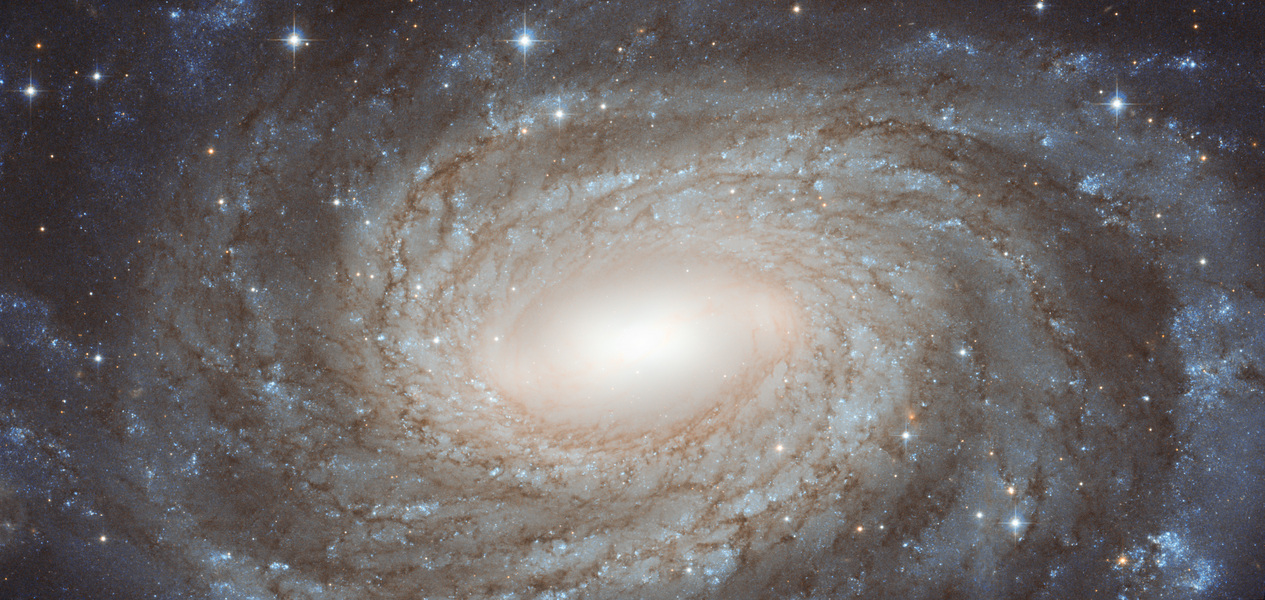 Im Bild breitet sich die Zentralregion der Galaxie NGC 6384 aus. Die Spiralgalaxie liegt im Sternbild Schlangenträger (Ophiuchus). Das Bild des Weltraumteleskops Hubble zeigt prächtige Spiralarme und eine gelbliche diffuse Zentralregion.