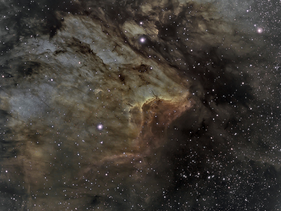 Die Aufnahme zeigt zartes Leuchten von Nebeln im Sternbild Schwan in IC 5067, das von dunklen, stark strukturierten Wolken durchzogen ist. Dazwischen sind kleine Sterne verteilt.