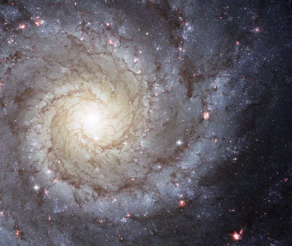 Das Bild zeigt einen Ausschnitt der Spiralgalaxie M74 im Sternbild Fische. Wir sehen sie direkt von oben, ihre Arme sind von Staubbahnen und roten Sternbildungsregionen gesäumt.