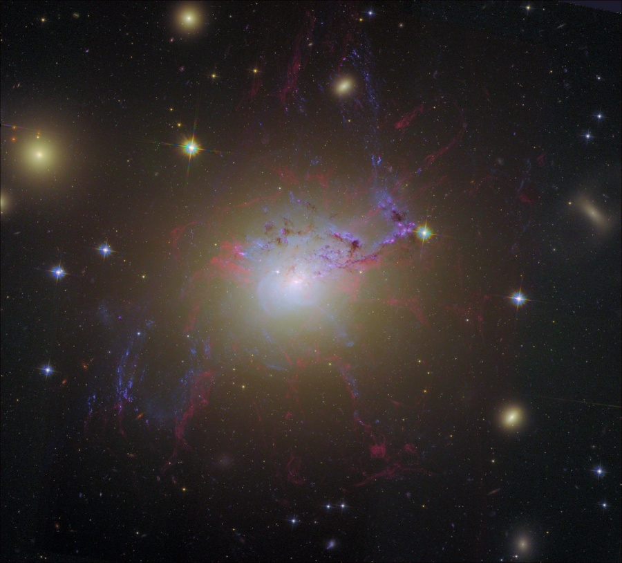 Vor einem diffusen hellen Galaxienkern verlaufen relativ stabild Filamente, die purpurn leuchten.