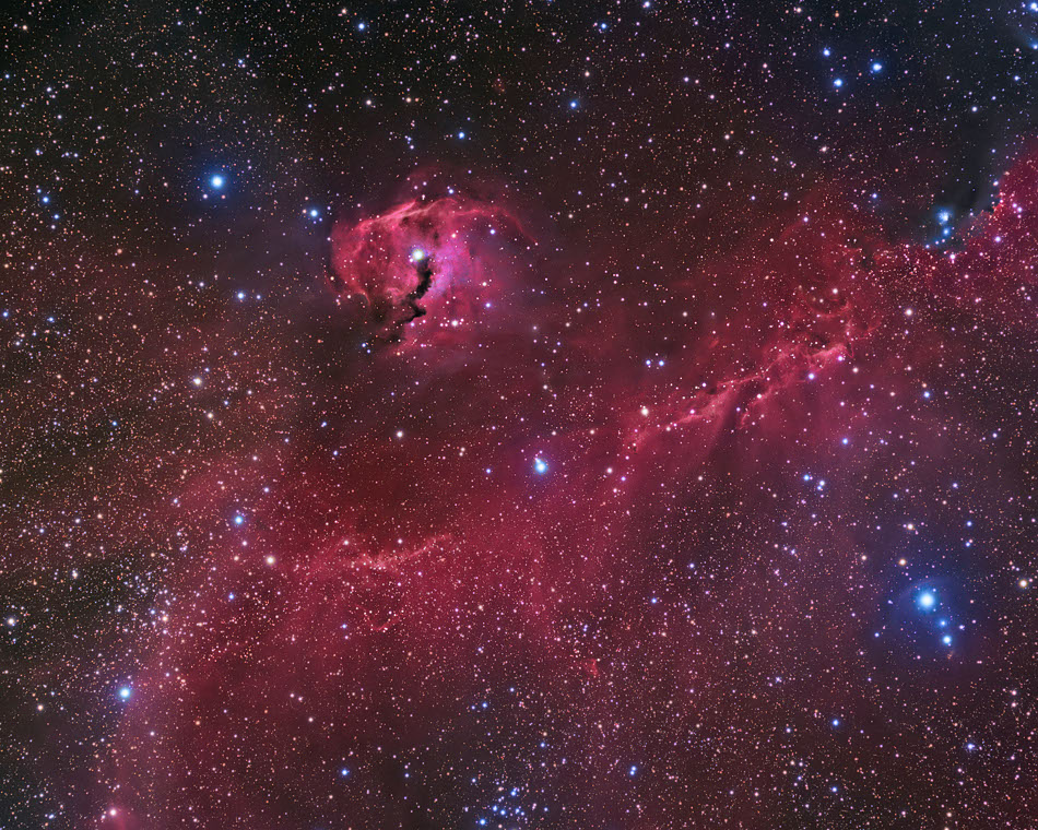 Im von Sternen gesprenkelten Bild leuchten rote Nebel, die an eine Möwe erinnern. Der Kopf oben erinnert seinerseits an einen Papagei.