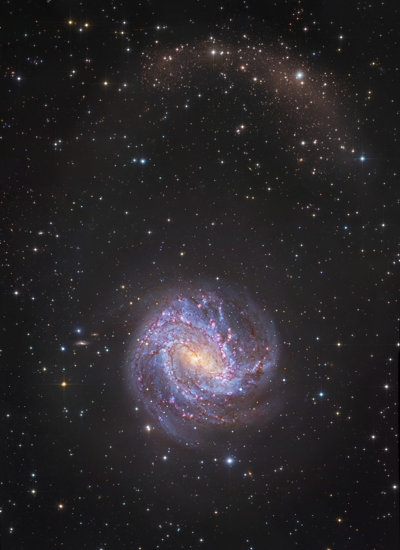 Die Spiralgalaxie im Bild hat prachtvolle Spiralarme, die von einem gelben Kern ausgehen. Sie sind von hellen blauen Sternhaufen und roten Sternbildungsregionen gesprenkelt.
