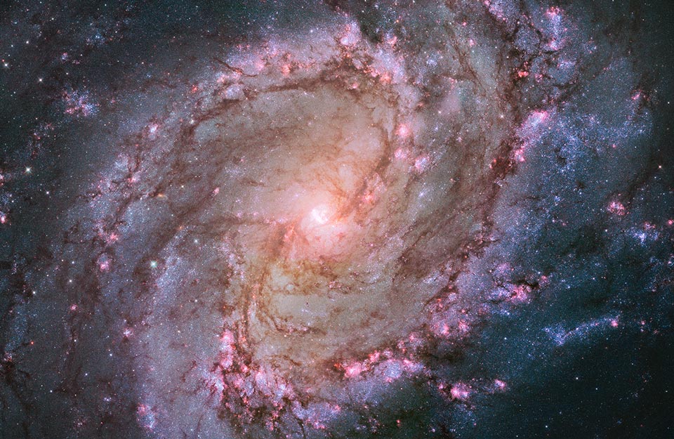 Die große, schöne Spiralgalaxie M83 ist etwa zwölf Millionen Lichtjahre entfernt. Sie liegt südöstlich im sehr langen Sternbild Wasserschlange. Die markanten Spiralarme sind von dunklen Staubbahnen gesäumt. Blaue Sternhaufen verleihen der Galaxie den gängigen Namen "Südliches Feuerrad".