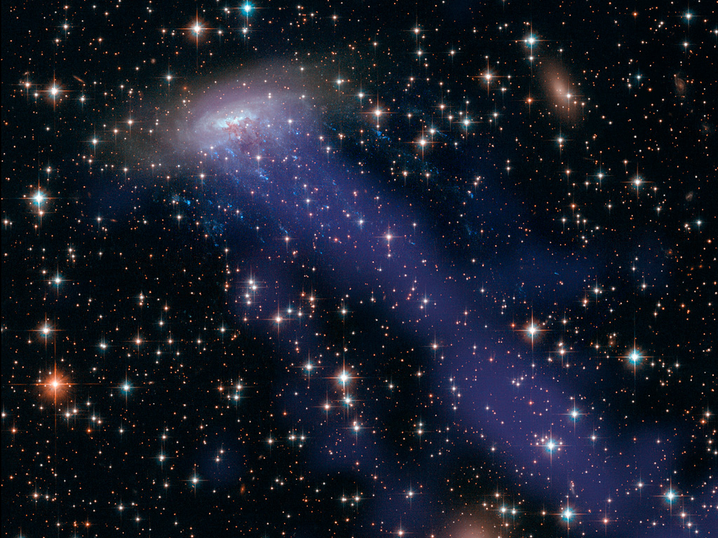 Links oben ist die Spiralgalaxie ESO 137-001, die durch einen Galaxienhaufen rast. Sie zieht eine blaue Spur aus aufgeheiztem, blau leuchtendem Gas hinter sich her, das vom intergalaktischen Medium hinausgedrückt wurde. Oben hinter der Galaxie sind Streifen neu entstandener blauer Sterne.