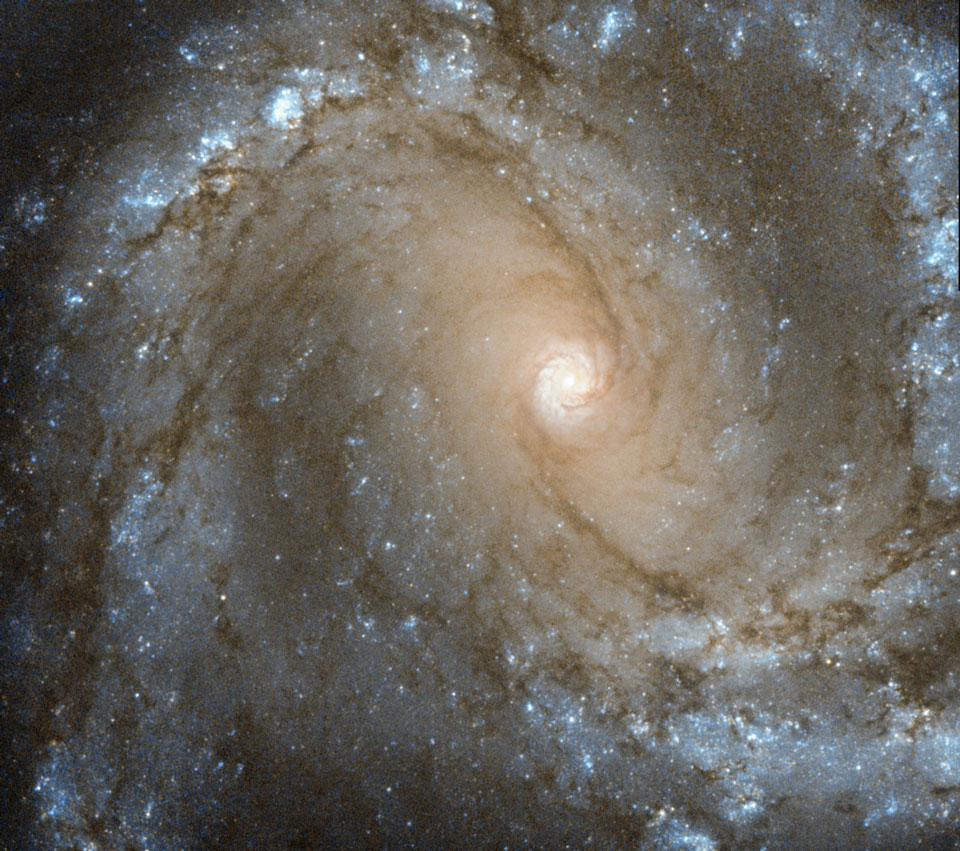 Hubble zeigt die Zentralregion der Spiralgalaxie M61 im Sternbild Jungfrau. In der Mitte ist ein kleiner hellgelber Kern, von dem zwei dunkle Staubbahnen auslaufen. Um den hellen Kern ist ein etwas dunklerer Bereich, der wiederum von Spiralarmen mit markanten blauen Sternbildungsgebieten umgeben ist.