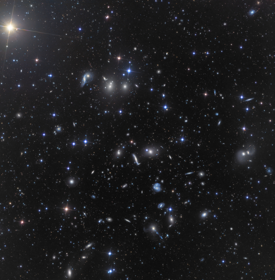 Die Galaxien im Bild gehören zum Herkules-Galaxienhaufen. Viele der Galaxien sind verzerrt und schimmern blau.