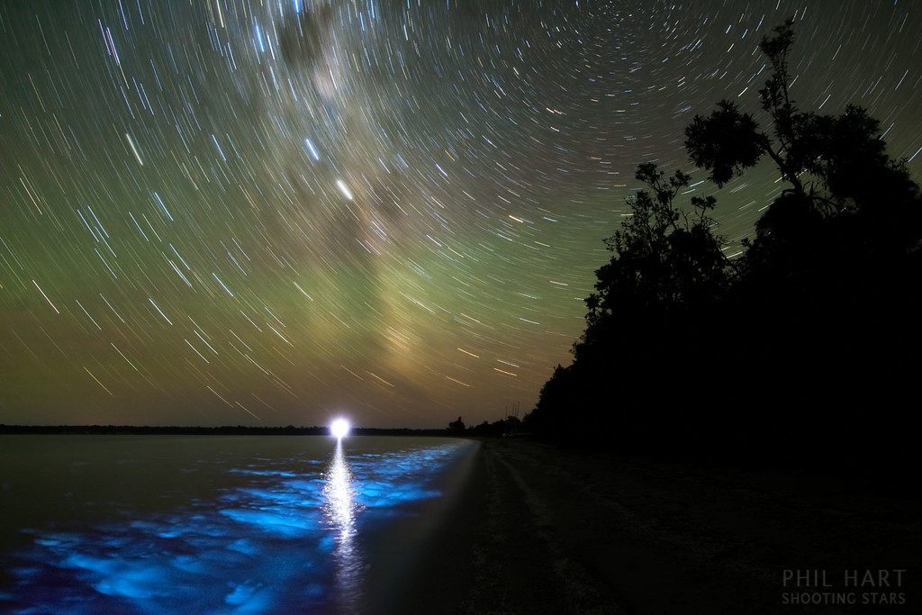 Am Himmel ziehen Strichspuren hinter grünem Nachthimmellicht. Im Wasser spiegelt sich ein helles Licht und die Wellen bringen Plankton im Wasser zum Leuchten.