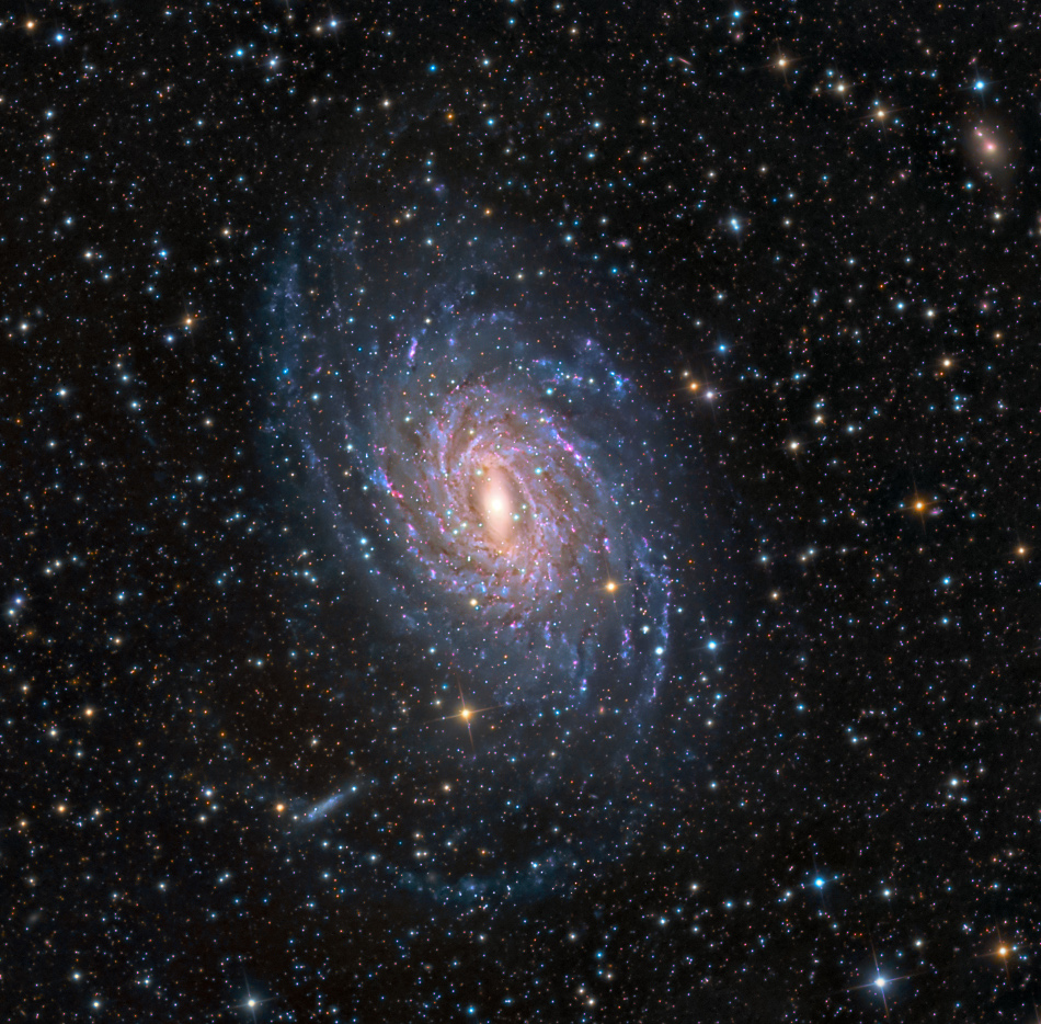Die ausgefranste Spiralgalaxie NGC 6744 ist von einer Sternenlandschaft umgeben. An ihren Spiralarmen sind blaue Sternhaufen und rote Sternbildungsregionen angeordnet.
