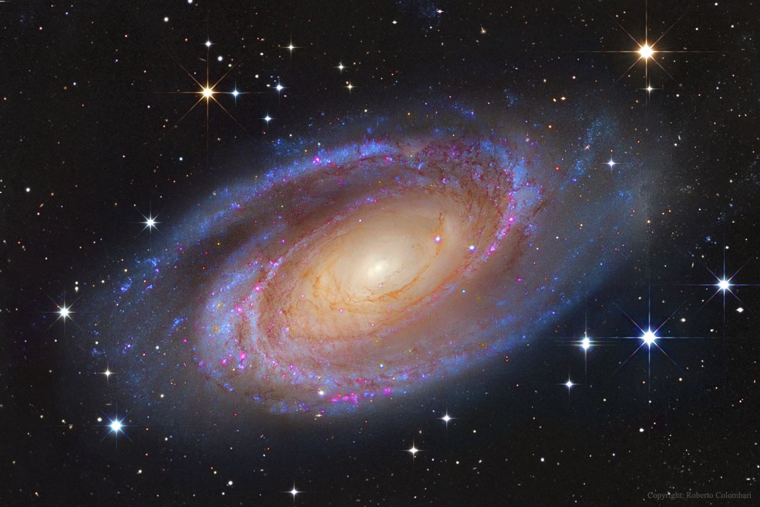 Eine Spiralgalaxie mit zwei markant ausgeprägten Armen liegt schräg im Bild. In der Mitte leuchtet sie gelblich, die Arme außen leuchten blauviolett, überall sind rosa leuchtende Sternbildungsregionen verteilt.