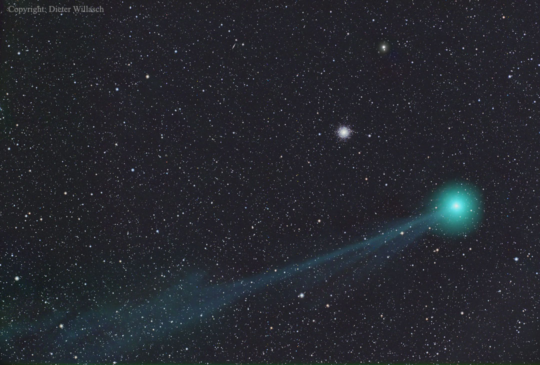 Der Kopf des Kometen Lovejoy leuchtet grün, nach links unten verläuft ein gerader, schmaler Schweif. Links über dem Kometenkern ist der Kugelsternhaufen M79, er ist der helle Fleck. Der Hintergrund ist von kleinen Sternen übersät.