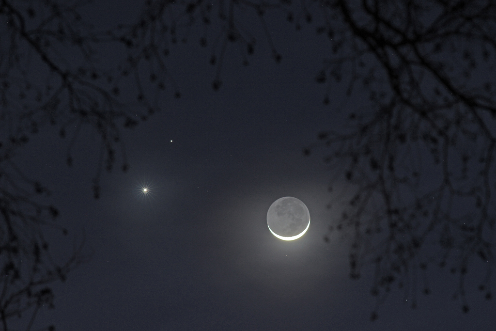 Hinter den Zweigen von Bäumen leuchtet der Sichelmond rechts neben den Planeten Venus und Mars. Die dunkle Seite des Mondes wird von der Erde beleuchtet.