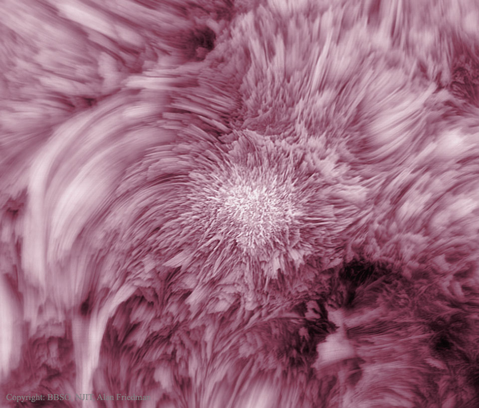 Die Oberfläche der Sonne ist auf diesem Bild rosarot gefärbt und erinnert an eine Blume.