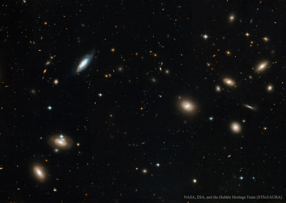 Fast jedes Objekt im Bild ist eine Galaxie. Die Aufnahme stammt vom Weltraumteleskop Hubble, sie zeigt Galaxien, die lose das ganze Bild füllen. Die kleinen Galaxien sind weit entfernt und gehören nicht zum Coma-Haufen im Sternbild Haar der Berenike.