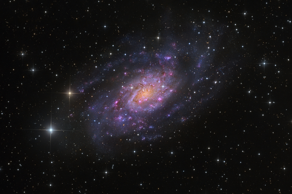 Die Spiralgalaxie NGC 2403 im Sternbild Giraffe wirkt leicht zerfleddert, ihre Spiralarme verlaufen eher lose. Sie sind von riesigen HII-Regionen gesprenkelt, in denen Sterne entstehen.