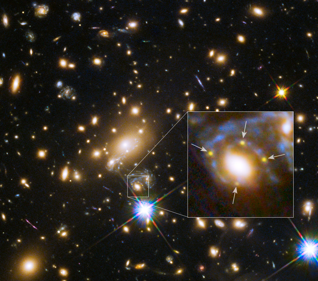 Das Bild ist voller Galaxien, die wie Sterne verteilt sind. Über einem hellen Stern ist eine Galaxie mit 4 gelben Flecken. Diese Flecken sind eine Supernova, deren Bild durch eine Gravitationslinse in vier Bilder aufgeteilt wurde.