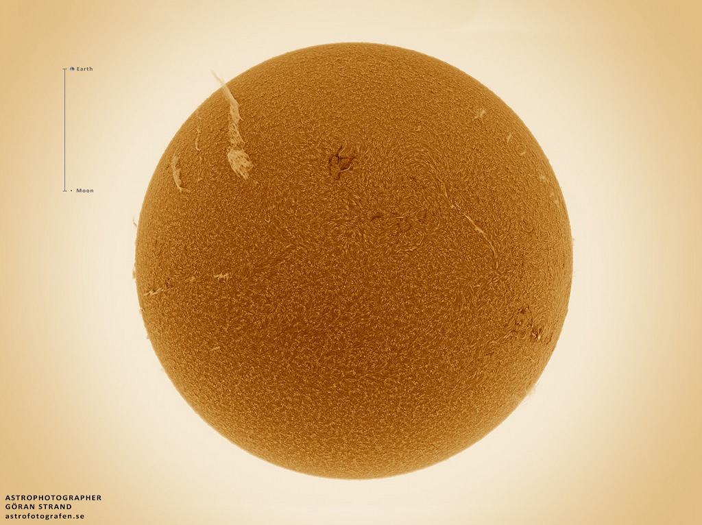 Die Sonne mit Granulation schwebt wie ein Flauschball mitten im Bild. Links oben ist ein Filament, das so lang ist wie die Entfernung zwischen Erde und Mond. Die Sonne ist in Falschfarben dargestellt.