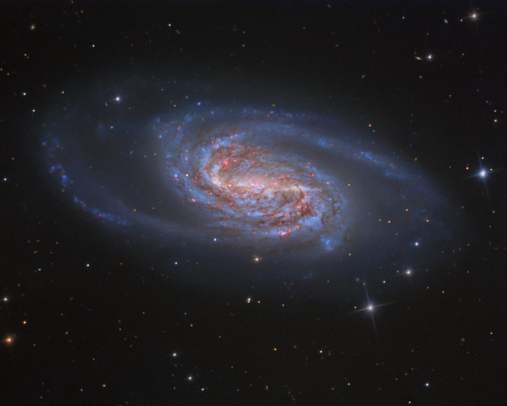 Die Galaxie NGC 2903 im Sternbild Löwe hat ausladende blaue Spiralarme. In der Mitte findet heftige Sternbildung statt. Im Bild erkennt man Sternbildungsregionen an ihrem verräterischen rötlichen Leuchten.