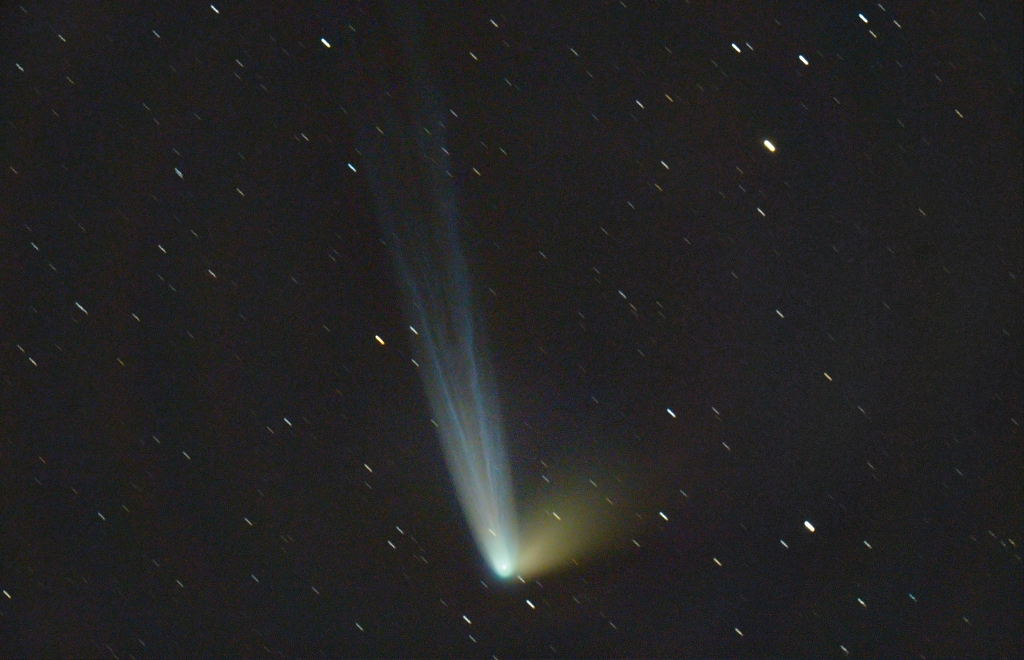 Der Komet PanSTARRS bewegt sich vor dem Sternbild Krebs. Die Sterne ziehen daher leichte Strichspuren, weil die Kamera dem Kometen nachfeführt wurde. Nach oben breitet sich ein blauer Ionenschweif aus. Der Staubschweif rechts ist gelblich und kürzer.