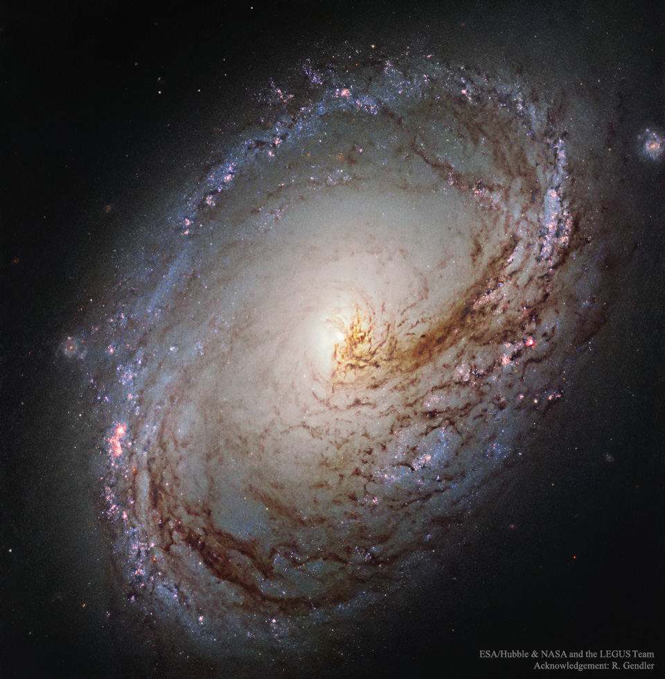 Die Spiralgalaxie M96 im Sternbild Löwe liegt schräg im Bild. Außen sind markante Sternbildungsregionen. Vorne verlaufen dunkle Staubstraßen.